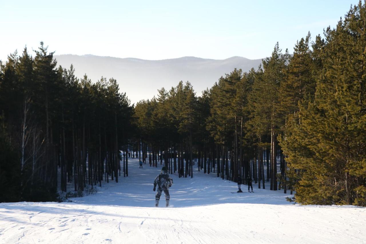 Shchuchinskiy Orman Ski מראה חיצוני תמונה